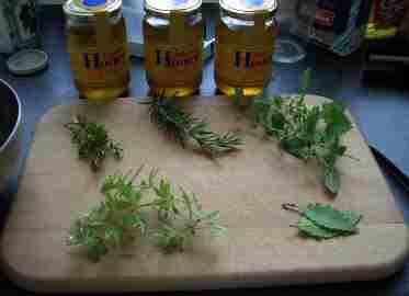 Herbs